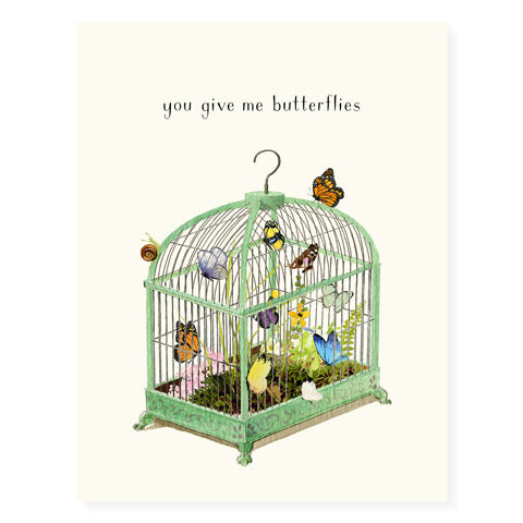 Butterflies