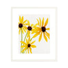 Black Eyed Susan