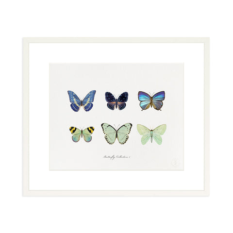 Butterfly Collection I