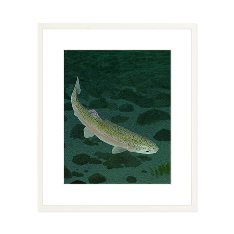 Mohonk Mountain Trout