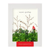 Cardinal and Evergreen