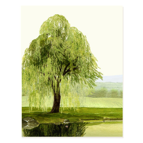 Whispering Willow - Occasion Card