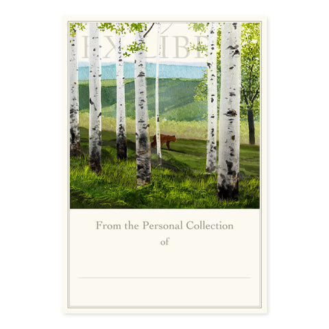Birch Forest