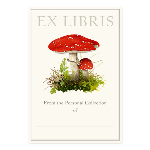 Amanita Muscaria