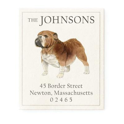 English Bulldog