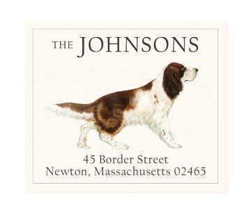 English Springer Spaniel - Return Address Labels