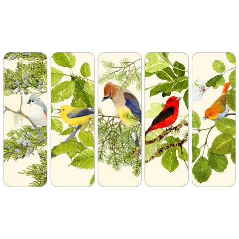 Birdsong