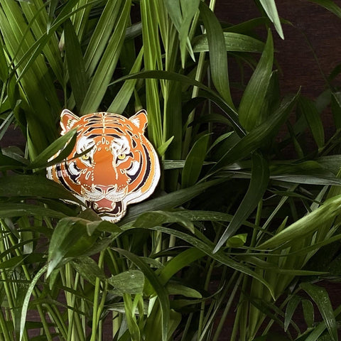 Year of the Tiger