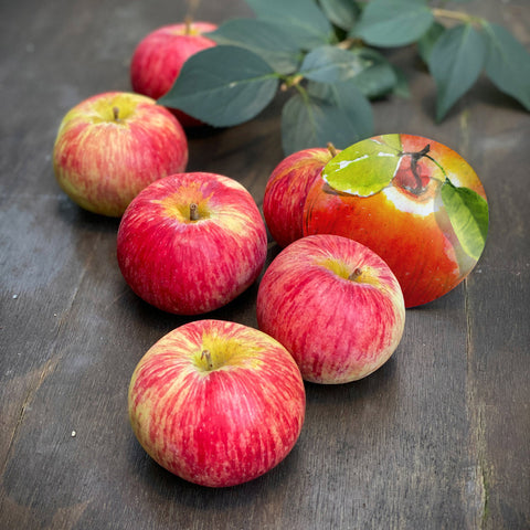 Rosh Hashanah
