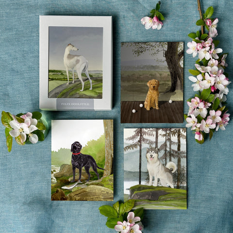 Dog Collection