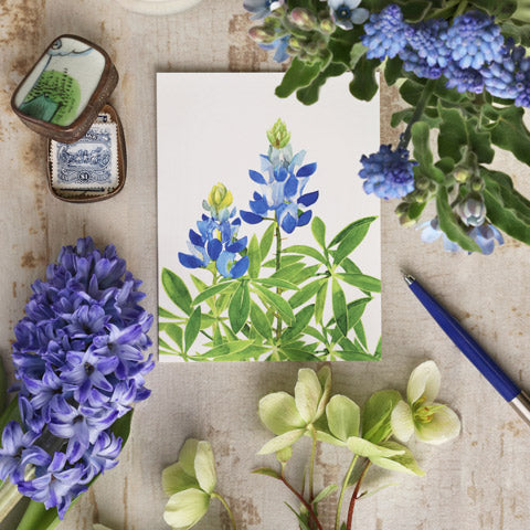 Blue Flowers Collection