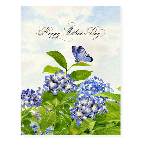 Garden Hydrangeas