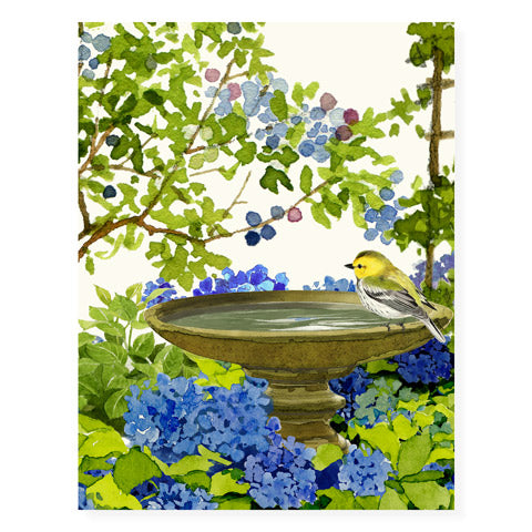 Blueberries and Blooms