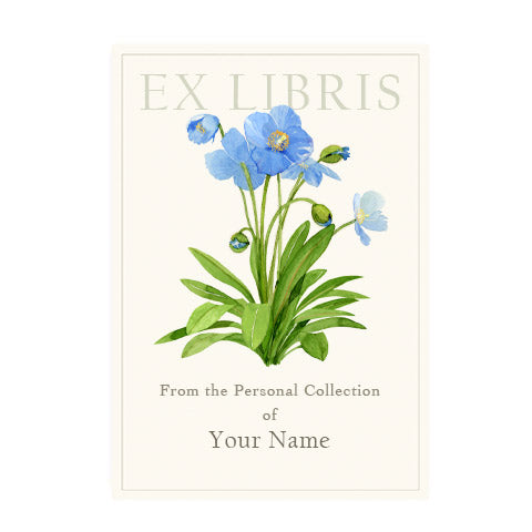 Blue Poppies