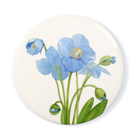 Blue Poppies