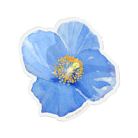 Blue Poppy