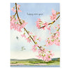 Pink Blossoms