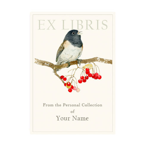 Dark-Eyed Junco