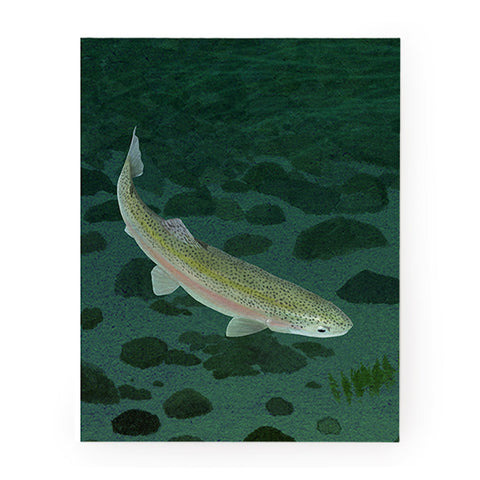 Mohonk Mountain Trout