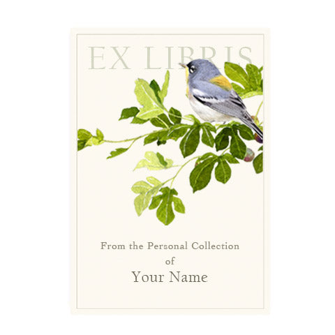 Northern Parula