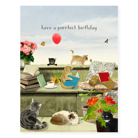 Purrfect Birthday