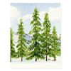 Snow Bright