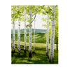 Birch Forest