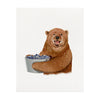 Berry Bear