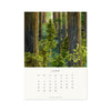 2027 Desk Calendar - Drawn to Nature