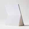 2027 Desk Calendar - Drawn to Nature