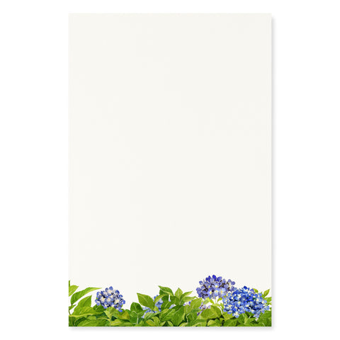 Garden Hydrangeas