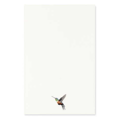 Iridescent Hummingbird