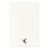 Iridescent Hummingbird