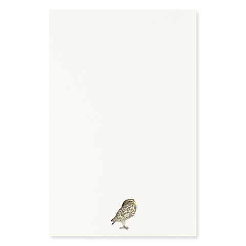 Owl of Athena