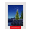 Twilight Tidings