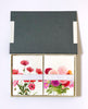 Poppies and Dahlias