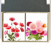 Poppies and Dahlias