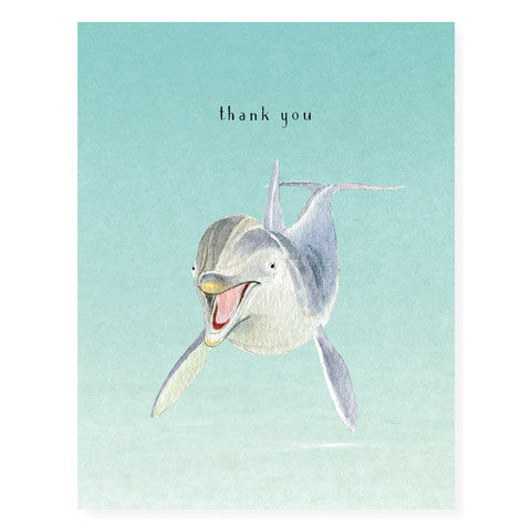 Hello Dolphin - Occasion Card