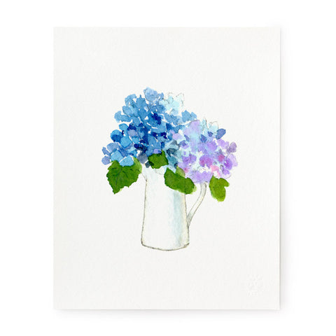 Hydrangea Pitcher - Art Print