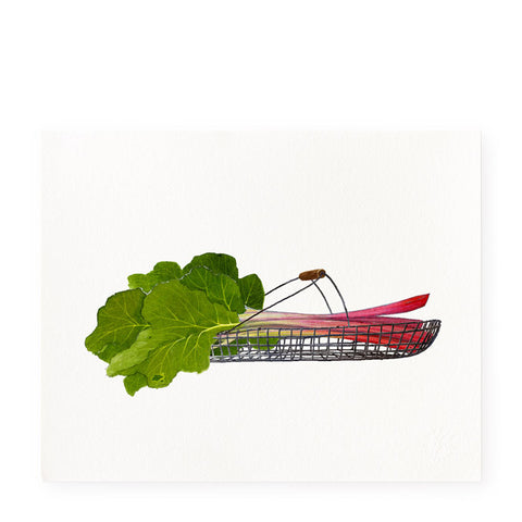 Organic Rhubarb - Art Print