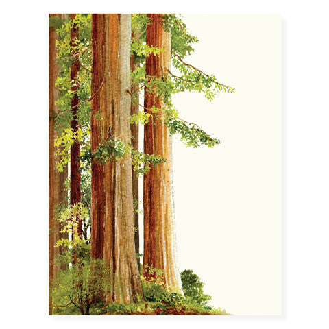 Redwoods - Occasion Card