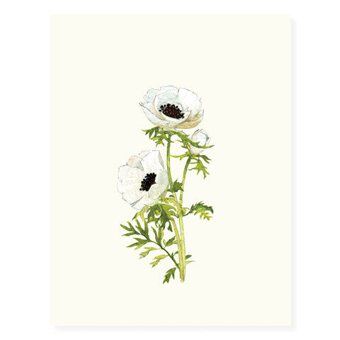 Anemone Blossom - Occasion Card