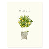 Lemon Topiary - Occasion Card