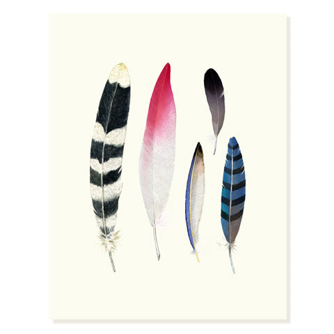 Feather Collection - Occasion Card