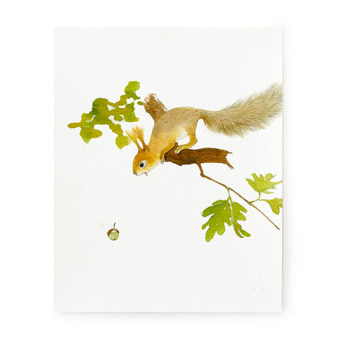 Aww Nuts - Art Print