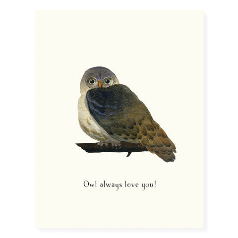 Hoot Do You Love? - Occasion Card