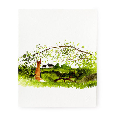 Fox with Arched Branch - Art Print