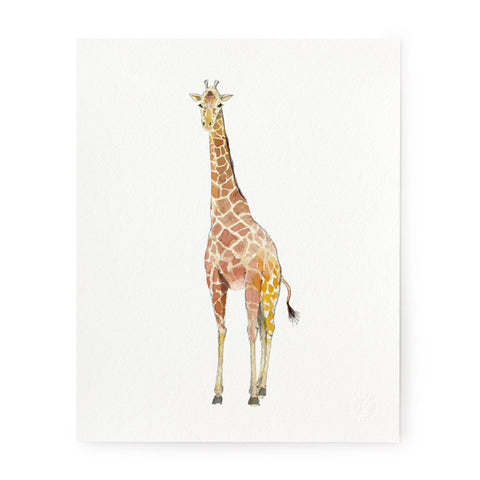 Giraffe - Art Print