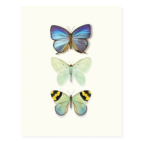 Butterfly Trio - Occasion Card