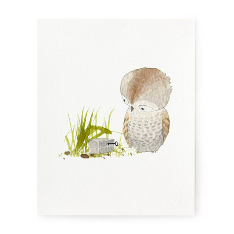 Curious - Art Prints